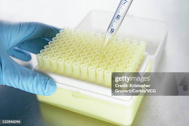 Assay Test Photos and Premium High Res Pictures - Getty Images