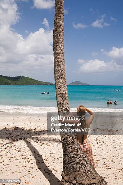 woman leaning on palm tree at magens bay - magens bay stock pictures, royalty-free photos & images