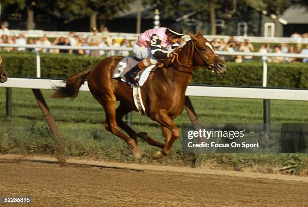 Jockey Steve Cauthen rides on Affirmed who takes the lead during the Belmont Stakes on June 10, 1978 to win the Triple Crown at Belmont Park in...