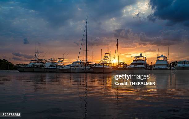 marina de miami - pier sunset imagens e fotografias de stock