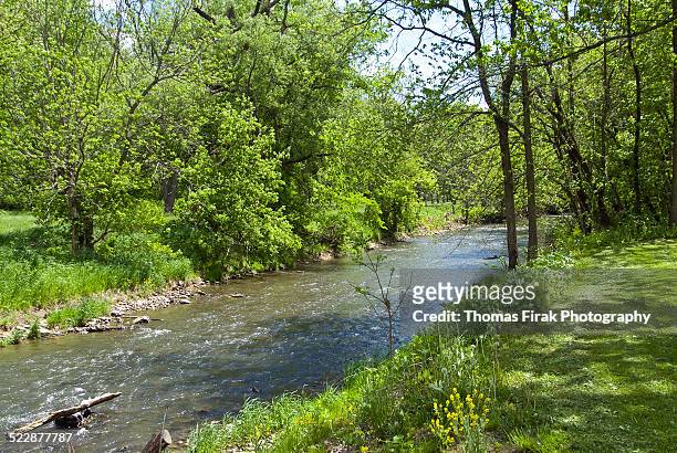 apple river in illinois -  firak stock pictures, royalty-free photos & images
