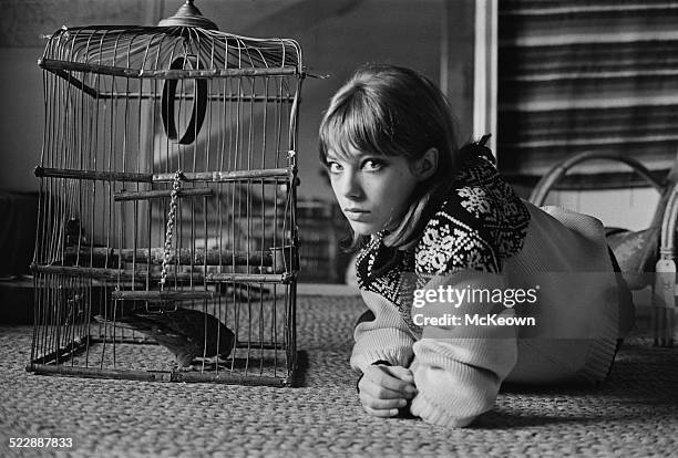 English actress and singer Jane Birkin, 1964.