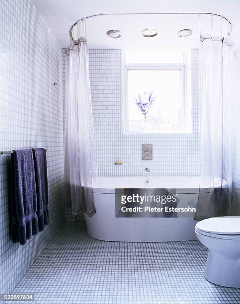 light blue tiled bathroom with white bathtub by window - archive 2006 bildbanksfoton och bilder