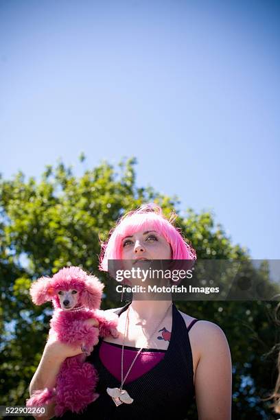 woman with dyed pink poodle - caniche de juguete fotografías e imágenes de stock