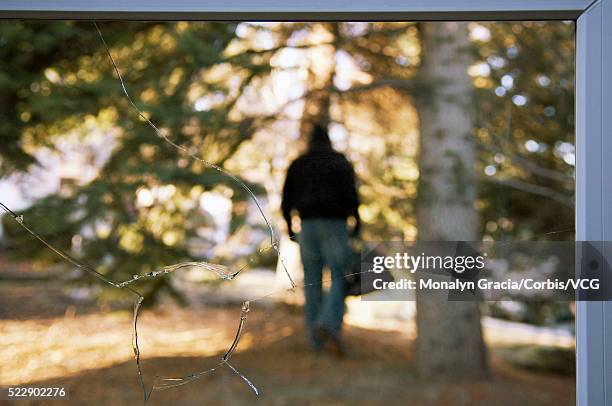 thief walking away with bag of loot - burglar carried stock pictures, royalty-free photos & images