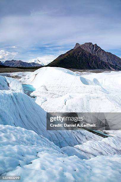 root glacier in alaska - root glacier stock-fotos und bilder