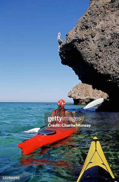 sea kayaker on sea of cortez - mar de cortês imagens e fotografias de stock