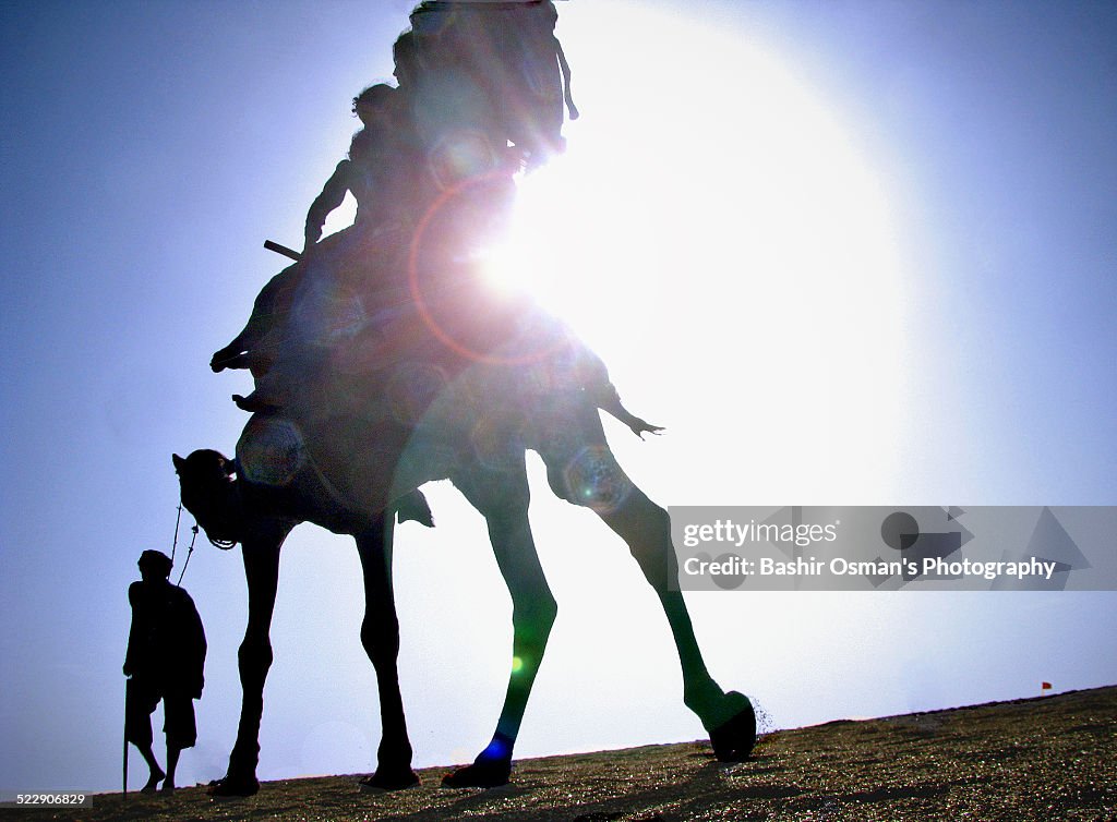 CAMEL RIDE