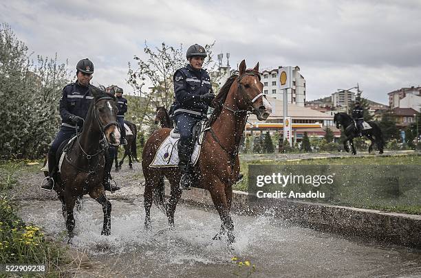 Gendarme forces ride horses during a training at the Gendarme Horse and Dog Training Center in Nevsehir, Turkey on April 21, 2016. Horses and dogs...