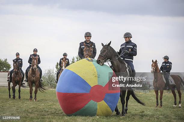 Gendarme forces ride horses during a training at the Gendarme Horse and Dog Training Center in Nevsehir, Turkey on April 21, 2016. Horses and dogs...