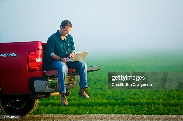 farmer using laptop from tailgate of truck - jim farmer 個照片及圖片檔