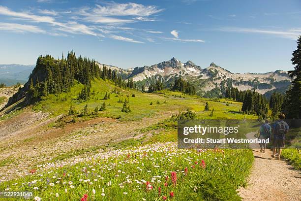 boys walking on alpine trail - mt rainier national park stock pictures, royalty-free photos & images