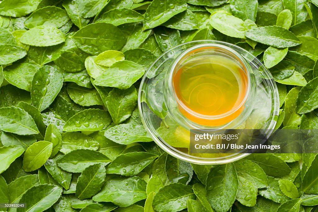 A cup of tea on green leaves