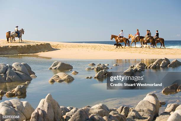 horseback tour on beach near cabo san lucas - los cabos stock pictures, royalty-free photos & images