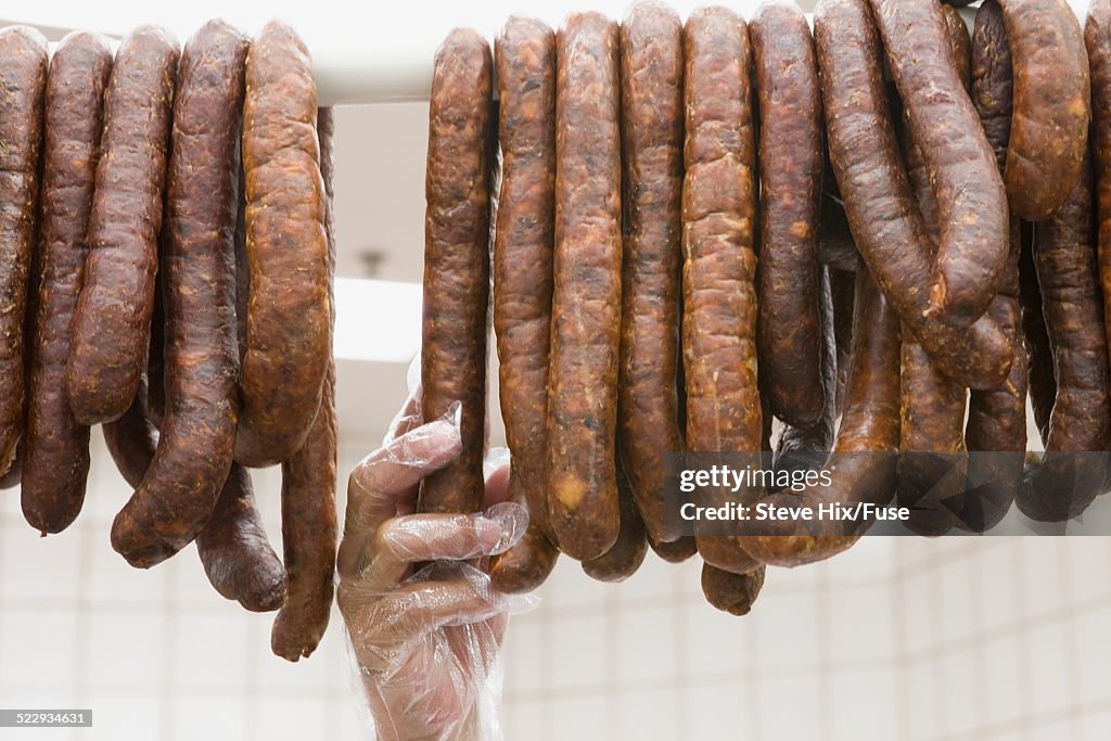 Hand Selecting a Sausage