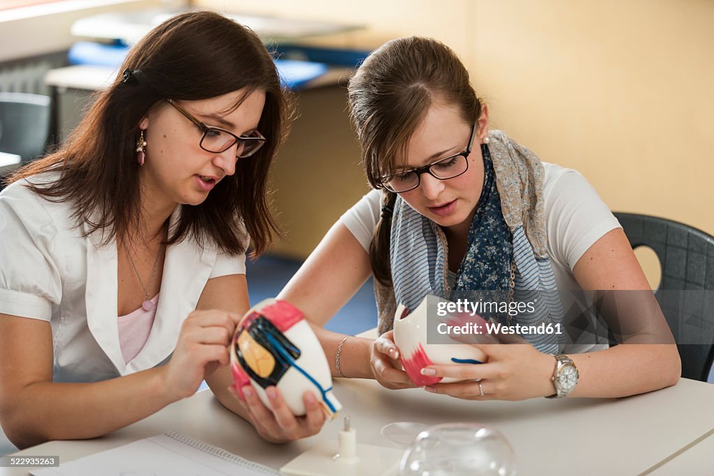 Students Using Visual Models Vocational School Students With Eye Model High-Res Stock Photo - Getty ...