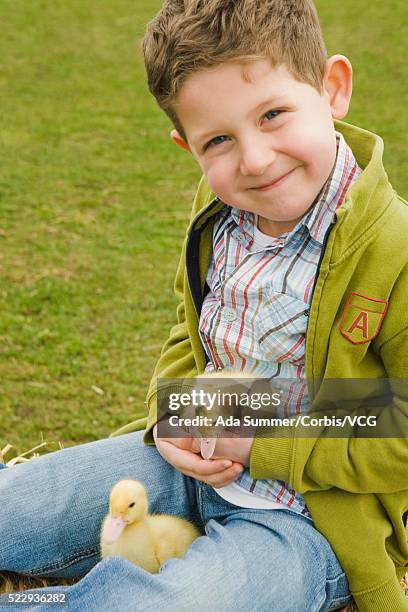 boy holding ducklings - downy duck ストックフォトと画像