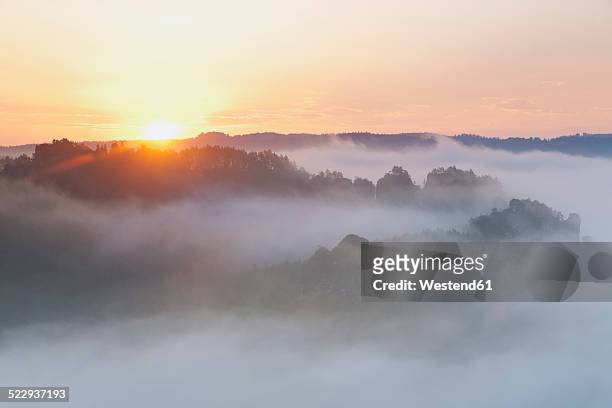 germany, saxony, morning mist at elbe sandstone mountains - mountain mist photos et images de collection