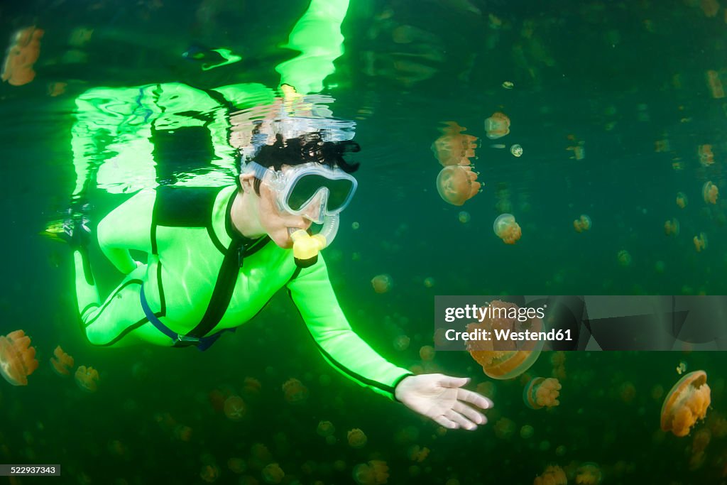 Oceania, Palau, Eik Malk, Female snorkeller watching spotted jellyfish, mastigias papua, in saltwater lake
