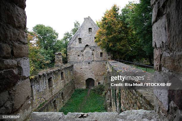 "monastery ruin disibodenberg, rhineland-palatinate, germany" - abadia mosteiro - fotografias e filmes do acervo