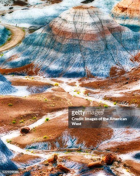 candyland ii - the petrified forest national park stock pictures, royalty-free photos & images