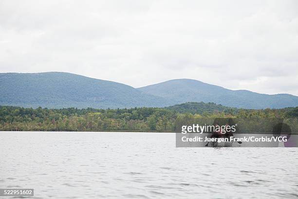 people puddling in canoe on lake - puddling stockfoto's en -beelden