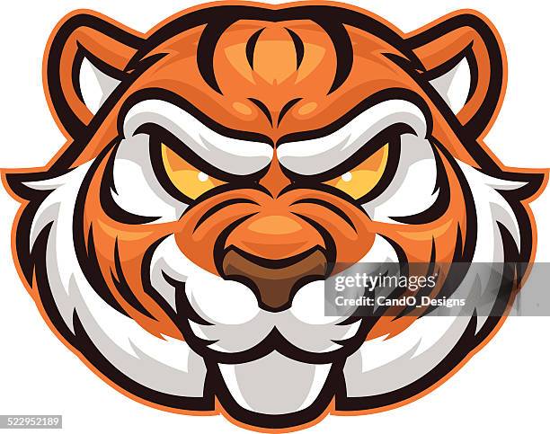 tiger head - tiger white background stock illustrations