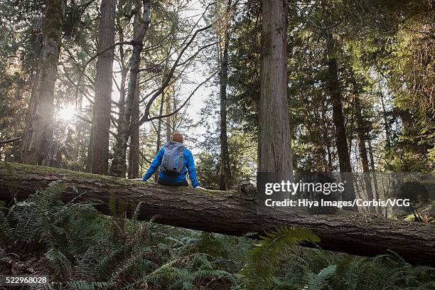 Man Log Riding Sitting On A Log Photos and Premium High Res Pictures - Getty Images
