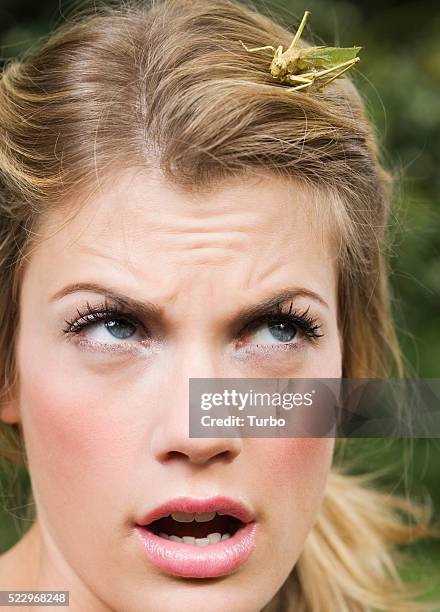 8,264 Scared Of Bug Stock Photos, High-Res Pictures, and Images - Getty ...