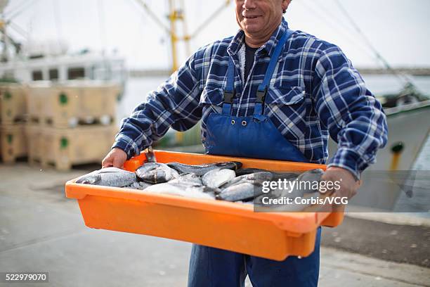 fisherman holding crate with fish - angler fish stock-fotos und bilder