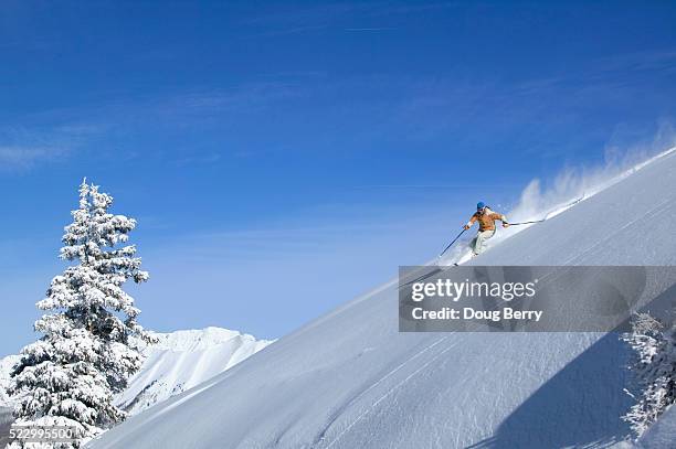 skiing - telluride 個照片及圖片檔