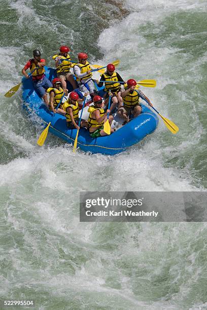 group of people whitewater rafting - whitewater rafting stock pictures, royalty-free photos & images