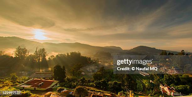 misty dawn in ooty - ooty stock pictures, royalty-free photos & images