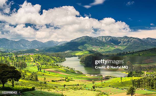 tea estates around the emerald lake in ooty - ooty stock pictures, royalty-free photos & images