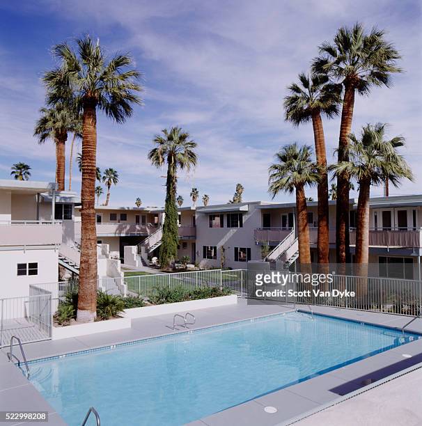 hotel swimming pool with palm trees - motel stockfoto's en -beelden