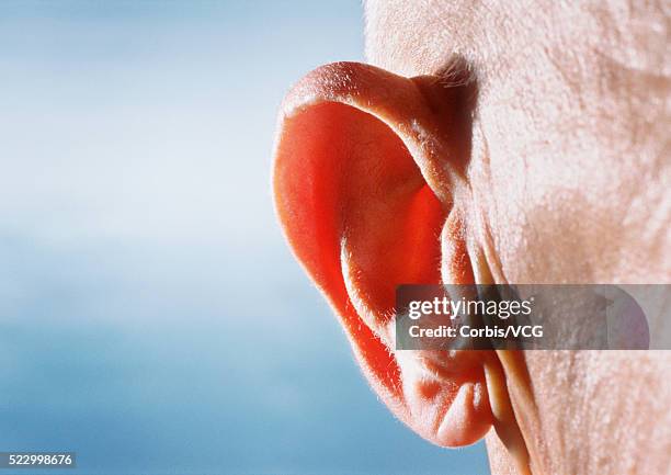 elderly man's ear - earlobe stockfoto's en -beelden