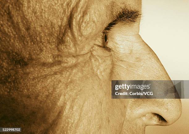 83 Close Up Eye Profile Man Stock Photos, High-Res Pictures, and Images ...