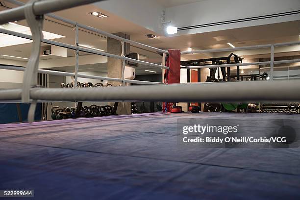 empty boxing ring - ring de combat photos et images de collection