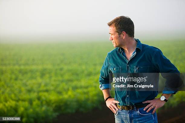 farmer looking at field - jim farmer stock pictures, royalty-free photos & images