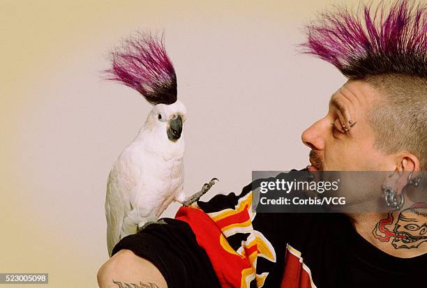 man and cockatoo with matching mohawks - animal macho stockfoto's en -beelden