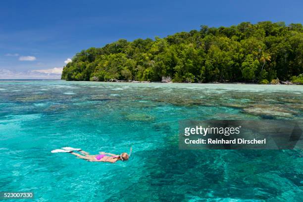 snorkeling at solomon islands, solomon islands - salomonseilanden stockfoto's en -beelden