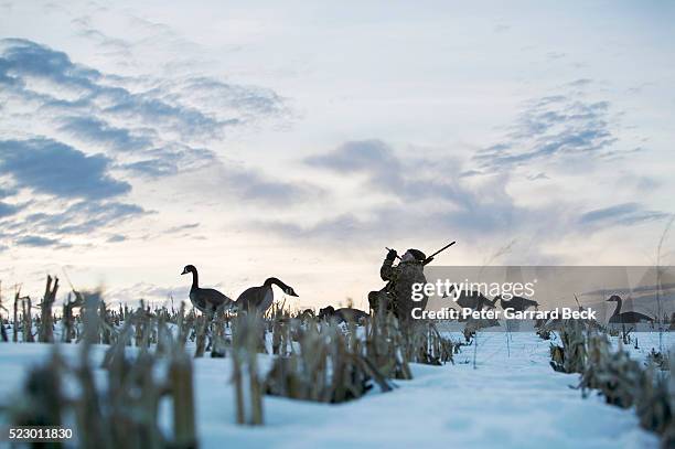 hunter using animal caller - animal call stock-fotos und bilder