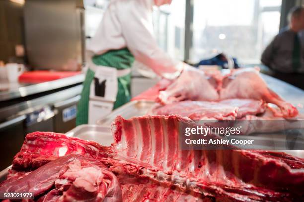 a local venison butcher at kendal college explains to catering students how to butcher venison. - wildgeflügel fleisch stock-fotos und bilder