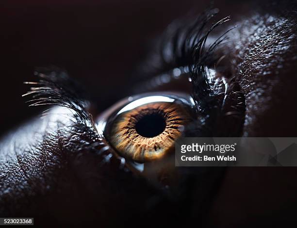 the human eye. - eyeball ストックフォトと画像
