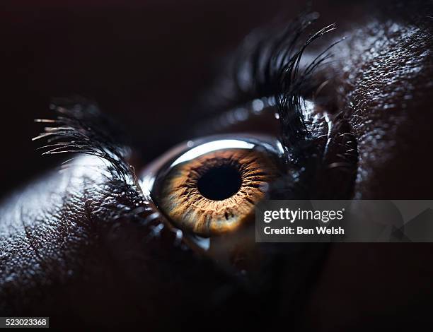 the human eye. - eye test equipment stock pictures, royalty-free photos & images