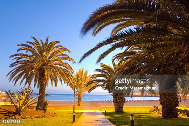 the beach of playa de el castillo - caleta de fuste stock-fotos und bilder