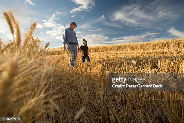 father and son in field - fattoria foto e immagini stock