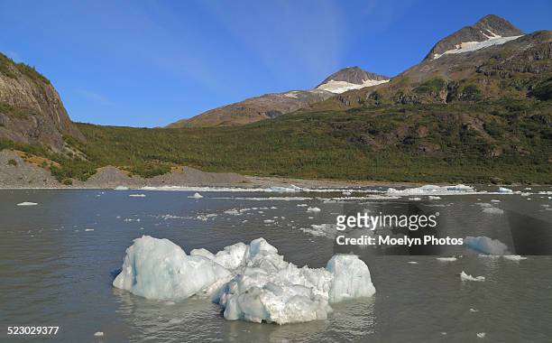 portage lake and ice - portage glacier stockfoto's en -beelden