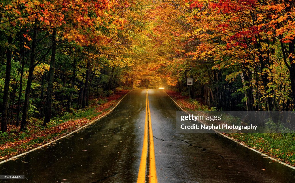 Fall Foliage in Vermont