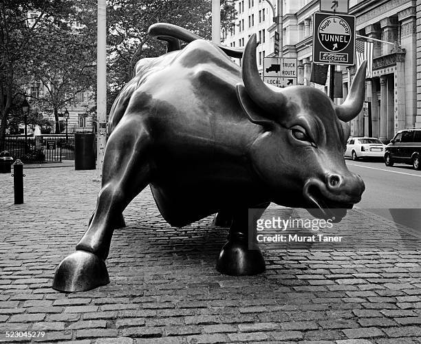 charging bull sculpture near wall street - bull statue stock pictures, royalty-free photos & images